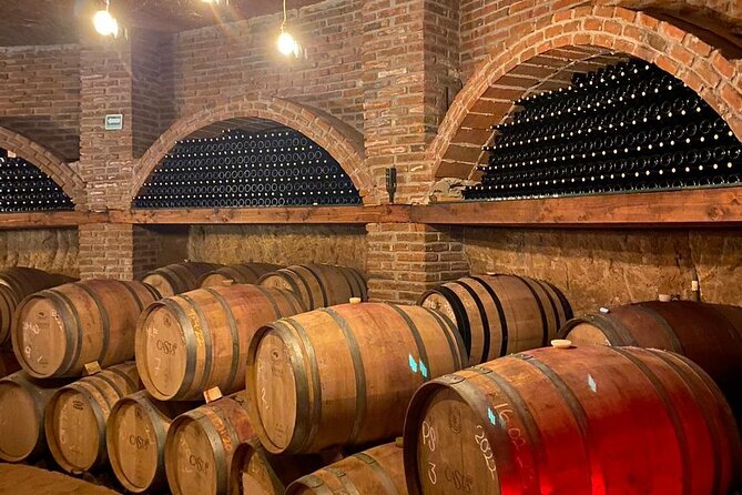 Private Tour in Guadalupe Valley, Vine Yards & Wine Route ENS MX - Enjoying Wine Tastings and Pairings