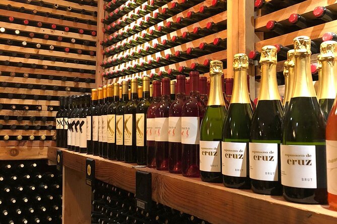 Private Tour in Guadalupe Valley, Vine Yards & Wine Route ENS MX - Tips for a Memorable Private Tour Experience