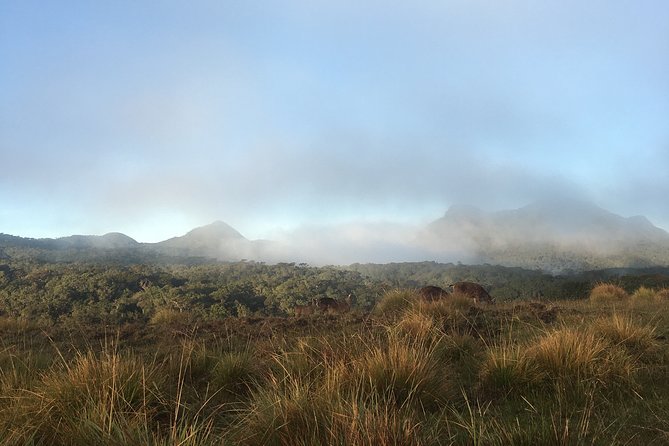 Private Tour in Horton Plains National Park & Worlds End Tour With Pick up - Tour Inclusions