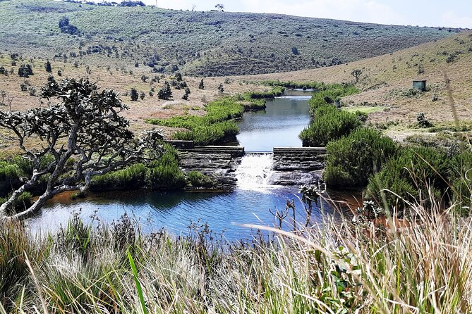 Private Tour in Horton Plains National Park ( Worlds End) With Pickup - Tour Highlights