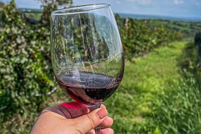 Private Tour in Jalostotitlán and Cerca Blanca Vineyard - The Itinerary in Detail