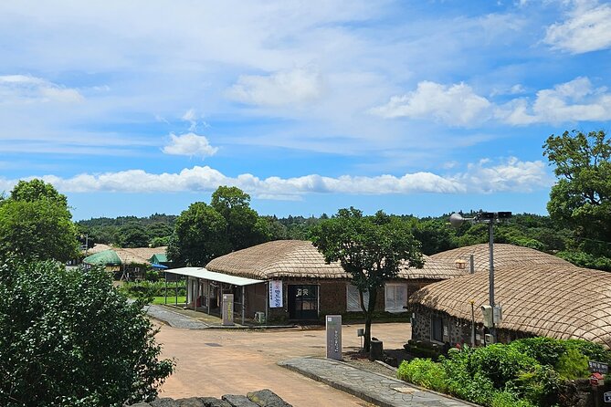 Private Tour in Jeju Island All Inclusive With Lunch - Accessibility Information