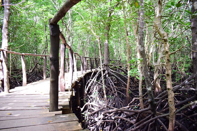 Private Tour in Jozani Forest With Pick up - Pickup Information