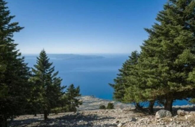 PRIVATE TOUR IN KEFALONIA - The Sum Up