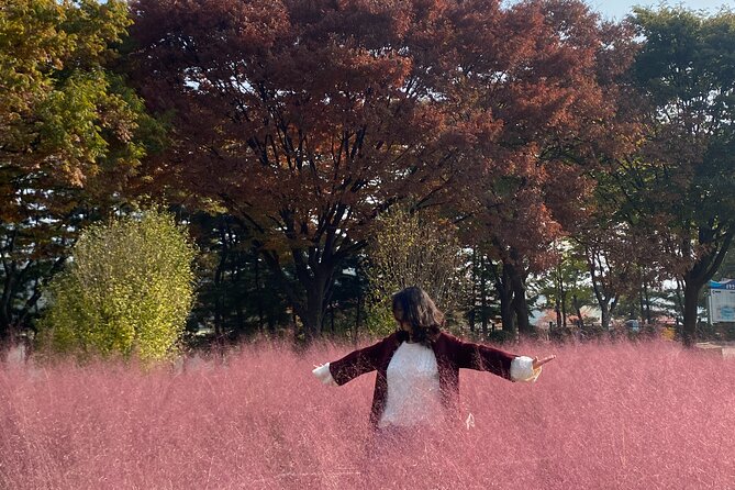 Private Tour in Korea With Korean Influencer - Meeting and Pickup Arrangements