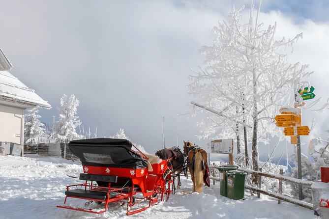 Private Tour in Lucerne and Mountains of Central Switzerland - Rigi: The Queen of the Mountains