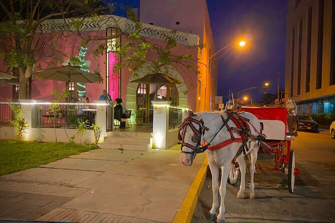 Private Tour in Mérida With Horse Drawn Carriage and Photo Shoot - Horse Drawn Carriage Experience