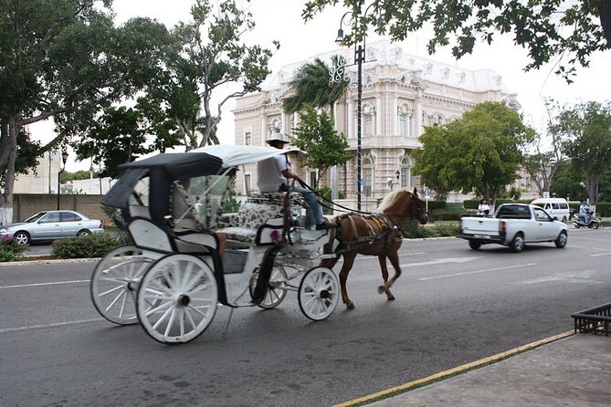 Private Tour in Mérida With Horse Drawn Carriage and Photo Shoot - Common Questions