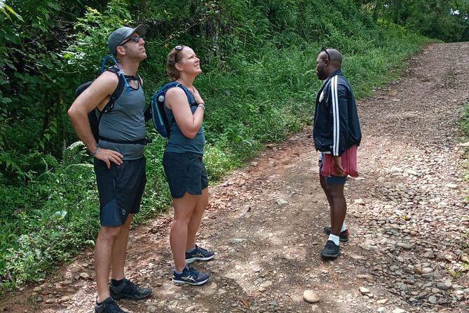 Private Tour in Miches With La Jarda Waterfall Experience - Cancellation Policy