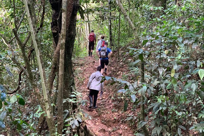 Private Tour in Miches With La Jarda Waterfall Experience - Traveler Reviews