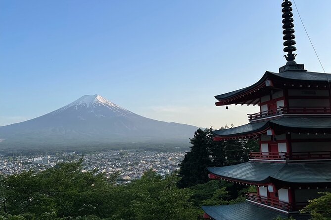 Private Tour in Mt Fuji and Hakone With English Speaking Driver - English Speaking Driver