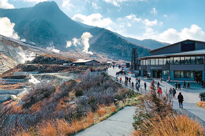 Private Tour in Mt Fuji and Hakone With English Speaking Driver - Booking and Pricing Information