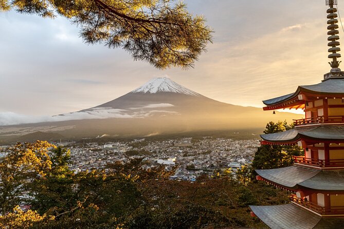 Private Tour in Mt Fuji and Hakone With English Speaking Driver - Common Questions