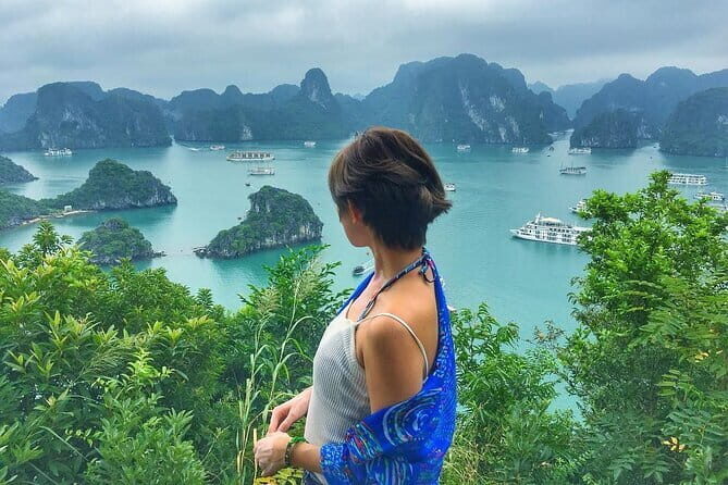 Private tour in Ninh Binh from Hanoi - Analyzing value and price