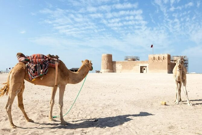 Private Tour in Northern Qatar - Group Size and Pricing