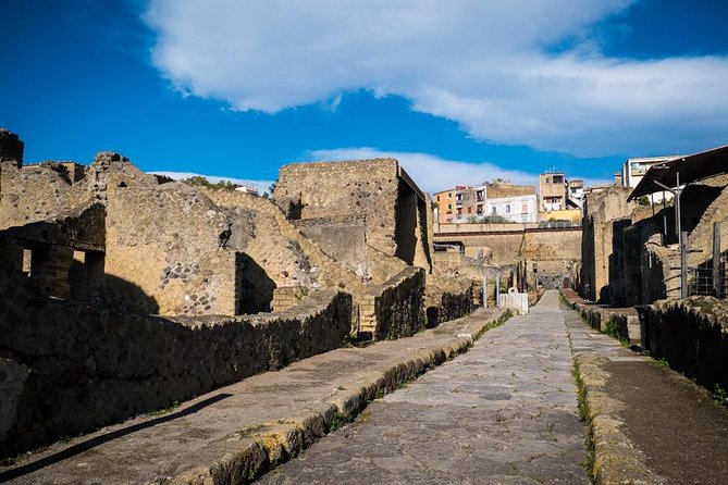 Private Tour in Pompeii at Your Pace - Common Questions
