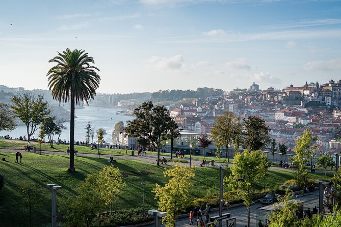 Private Tour in Porto With Lunch and Port Wine Tasting - Price and Booking Details