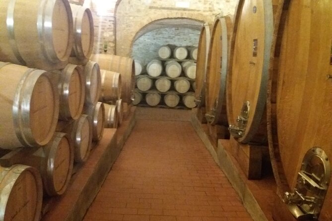 Private Tour in San Gimignano and Chianti Day Trip From Florence - Local Cuisine and Wine Tasting