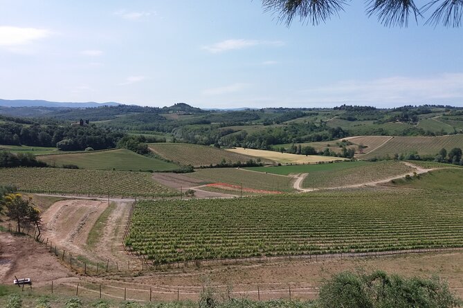 Private Tour in San Gimignano and Chianti Day Trip From Florence - Expert Tour Guide