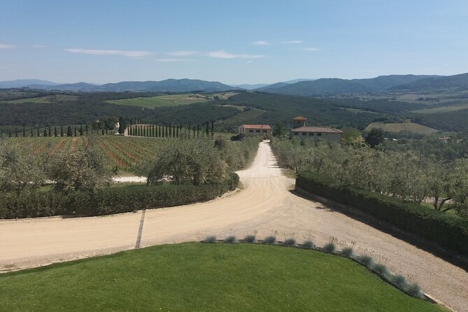 Private Tour in San Gimignano and Chianti Day Trip From Florence - Transportation and Logistics