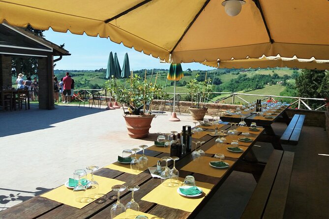 Private Tour in San Gimignano and Chianti Day Trip From Florence - Customer Reviews and Ratings