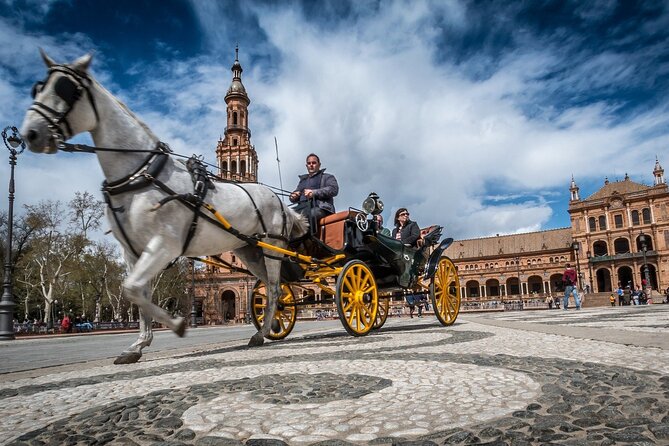 Private Tour in Seville With Pick-Up on the Costa Del Sol - Complete Participant Information