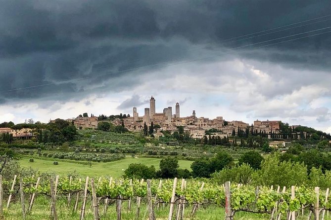 Private Tour in Siena, San Gimignano and Chianti Day Trip From Florence - Medieval Towers in San Gimignano