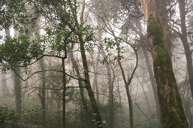 Private Tour in Sintra, Cabo Da Roca, Cascais, and Estoril - Scenic Views at Cabo Da Roca