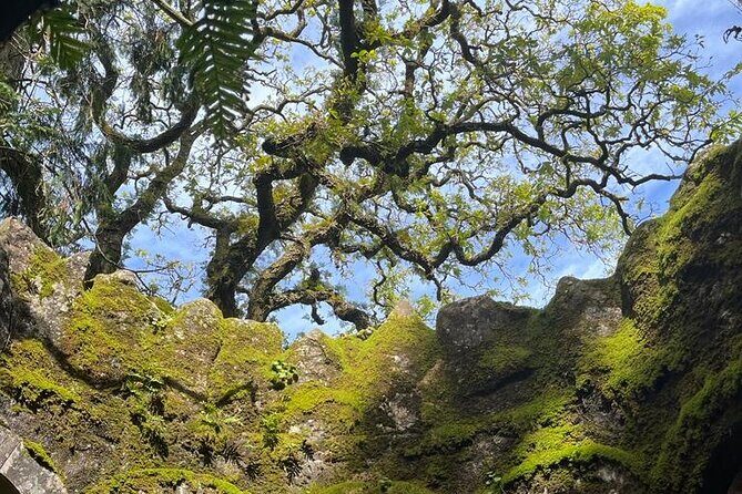Private Tour in Sintra to the most iconic places in Sintra - Is This Tour Worth It?