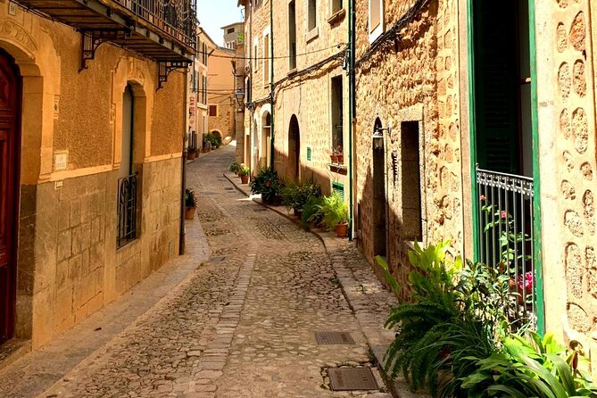 Private Tour in Sóller With Local Guide - Terms and Conditions