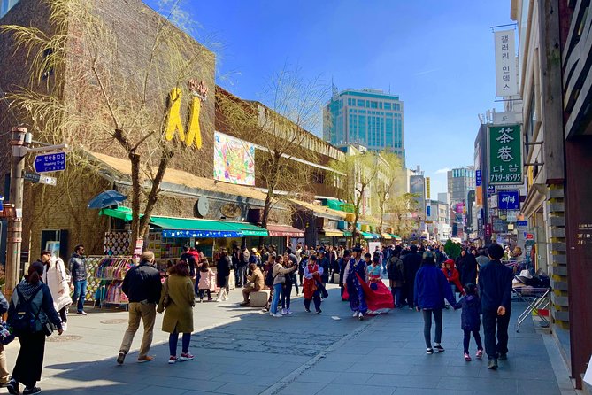 Private Tour in Spanish Magical Korea - Language and Communication