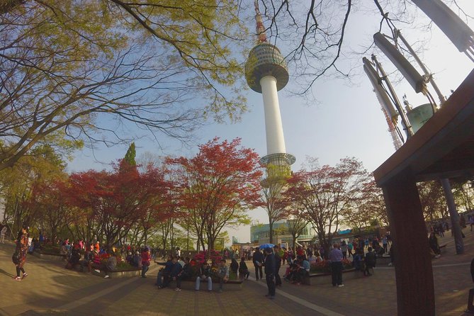 Private Tour in Spanish Magical Korea - Cultural Experiences