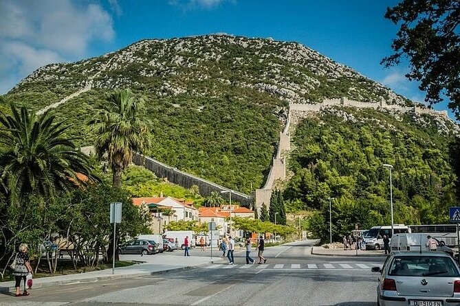 Private Tour in Ston and Peljesac With Wine Tasting - Wine Tasting Experience