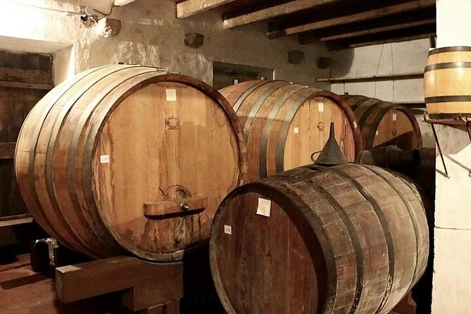Private Tour in Ston and Peljesac With Wine Tasting - Transportation Details