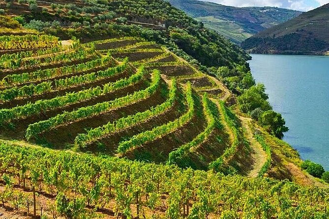 Private Tour in Ston and Peljesac With Wine Tasting - Pricing Information