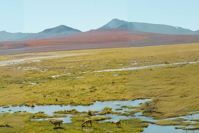 Private Tour in Tatio Geysers - Packing Essentials