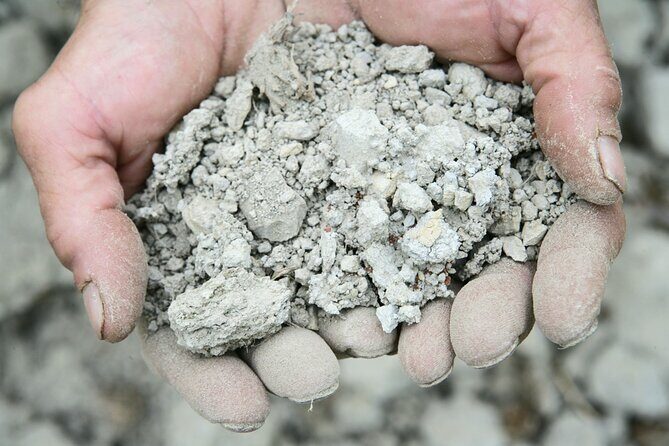 Private Tour in the Cellar and Tasting of Langhe Wines - Final Thoughts