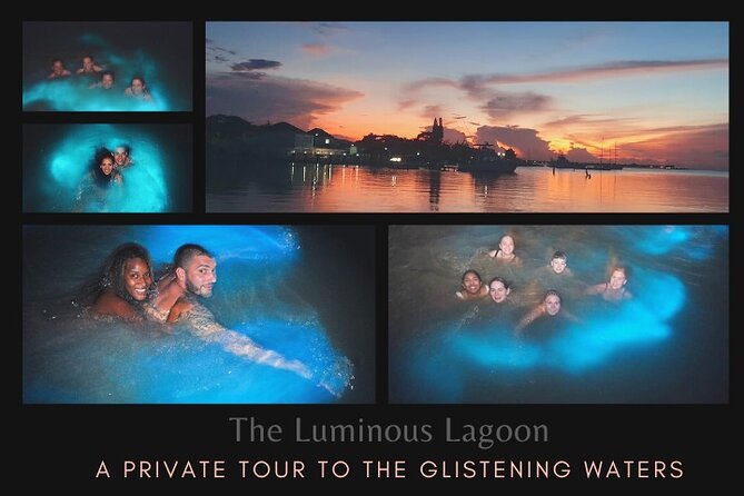 Private Tour in the Glistening Waters From Montego Bay - Additional Information