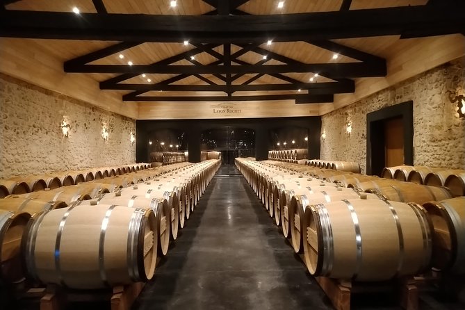 Private Tour in the Prestigious Médoc Wine Region - Gourmet Wine Pairing Experience