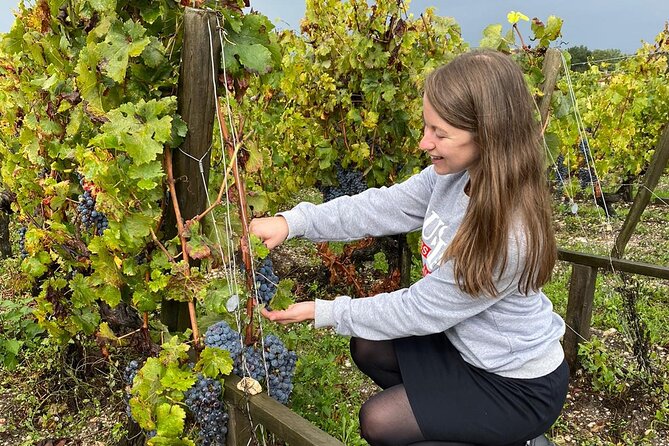 Private Tour in the Prestigious Médoc Wine Region - Common Questions