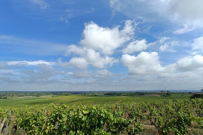 Private Tour in the Sauternes Wine Region - Discover Bordeaux Sweet Crus Classés - Mastering the Art of Wine Tasting