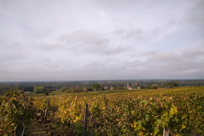 Private Tour in the Sauternes Wine Region - Discover Bordeaux Sweet Crus Classés - Traveler Reviews of the Private Tour