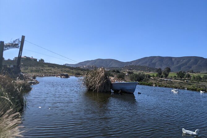 Private Tour in Valle De Guadalupe - Who Might Want to Consider Other Options