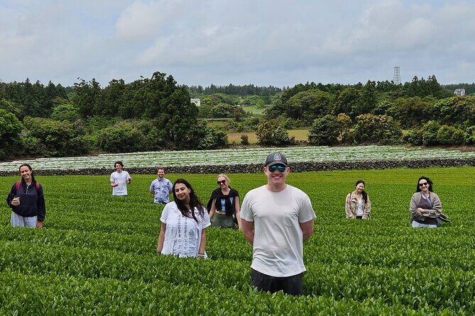 Private Tour in West Jeju Island with Transfer - Who Will Love This Tour?