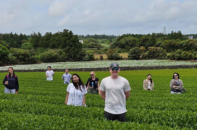 Private Tour in West Jeju Island with Transfer - FAQ