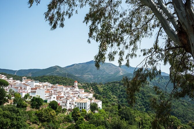 Private Tour in White Villages & Ronda Exploration From Seville - Meeting and Pickup Details