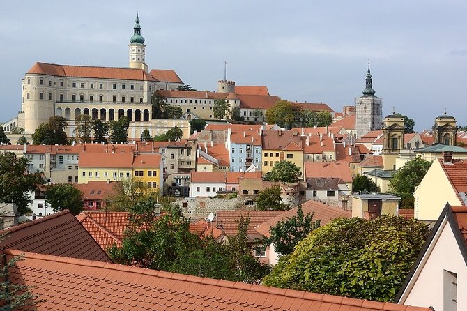 Private Tour in Winery Area With Transfer From Vienna to Prague - Comfort and Convenience