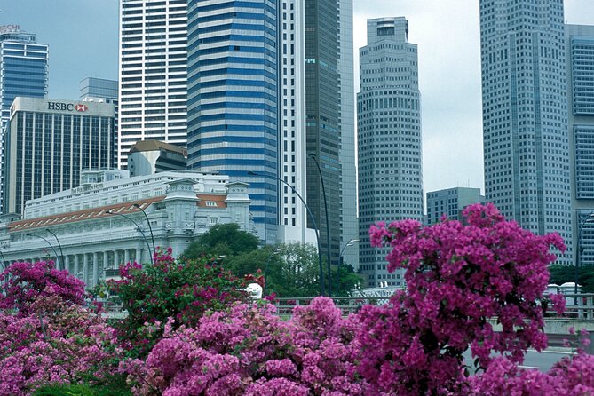 Private Tour Instawalk With Phonetography of Iconic Singapore - Competitive Pricing