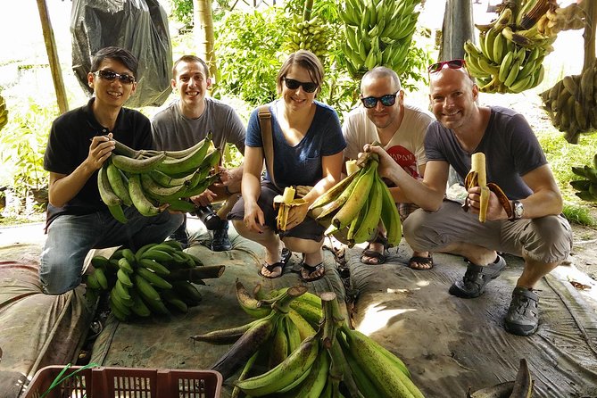 Private Tour: Ipoh Secrets Full Day Heritage & Orang Utan Island - Reviews