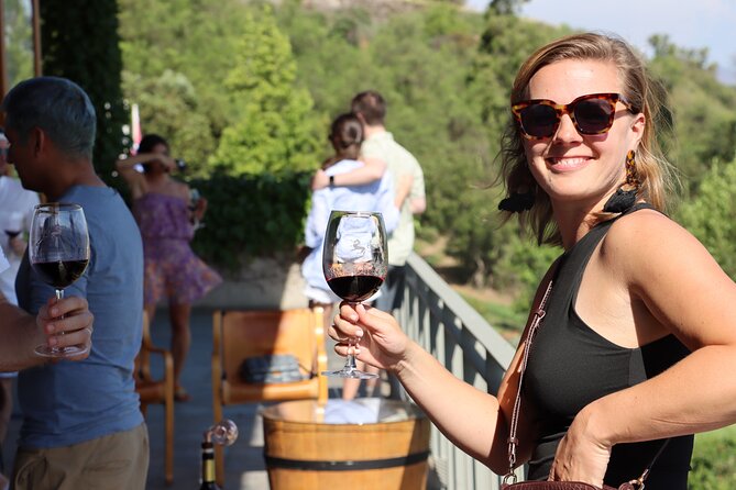 Private Tour: Isla De Maipo for Wine Lovers - Tour Overview